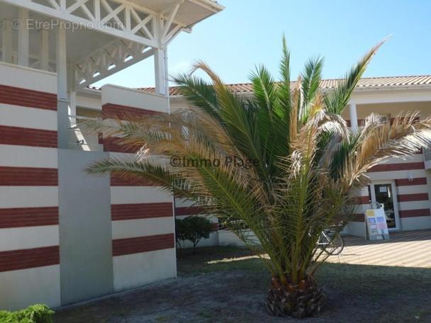 Soulac-Sur-Mer Avec Piscine Dış mekan fotoğraf